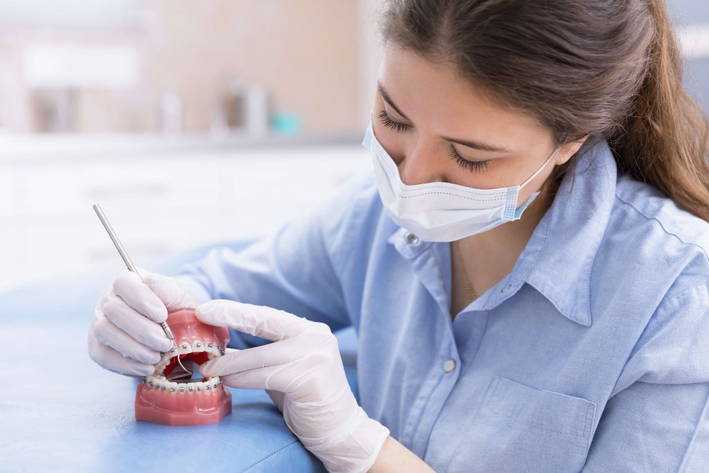 An Orthodontist Working on a Teeth Model